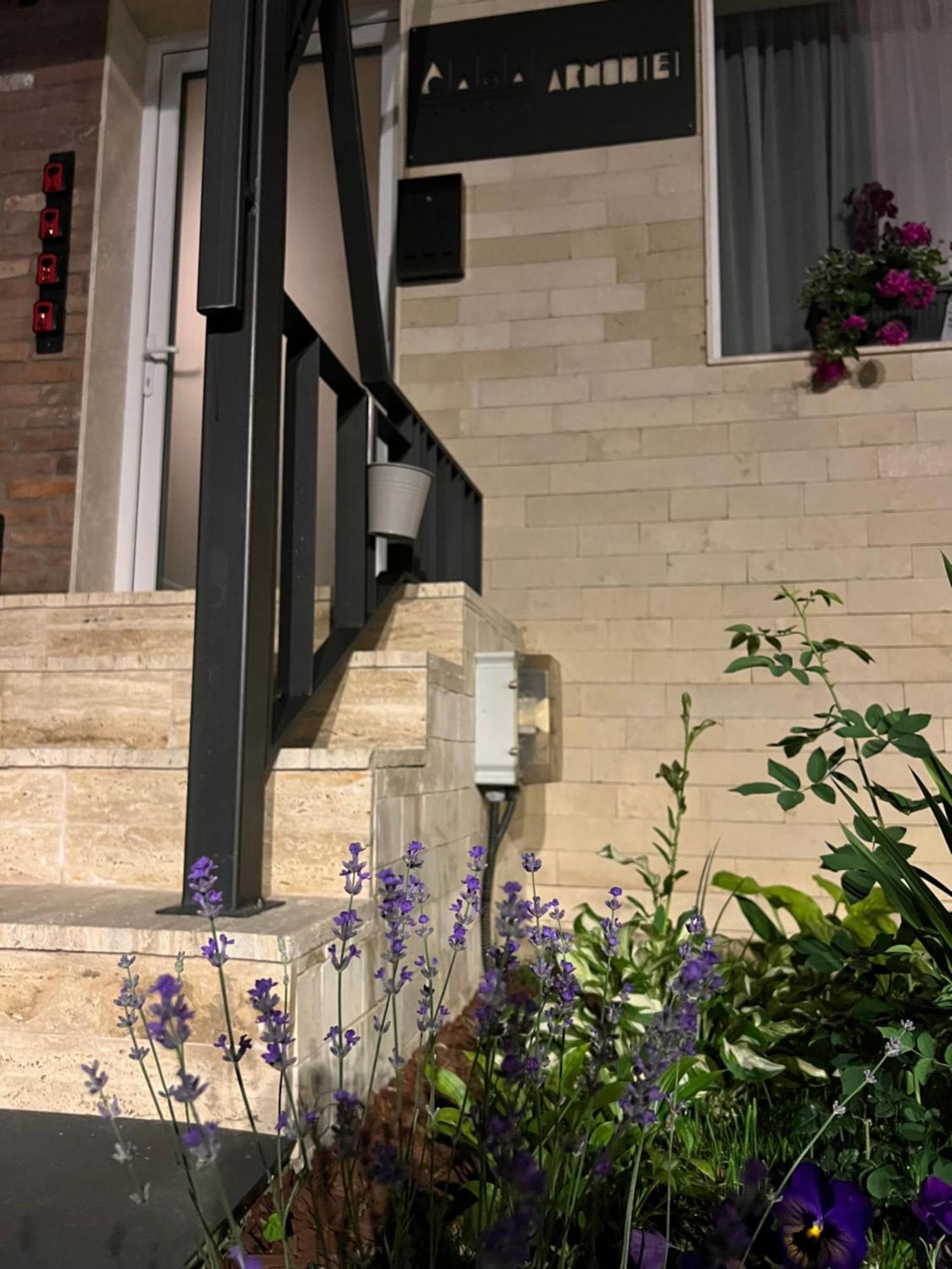 מלון באיה מארה Casa Armoniei מראה חיצוני תמונה